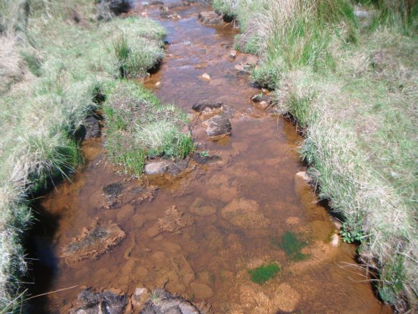 A veiw looking downstream on the blackwater river